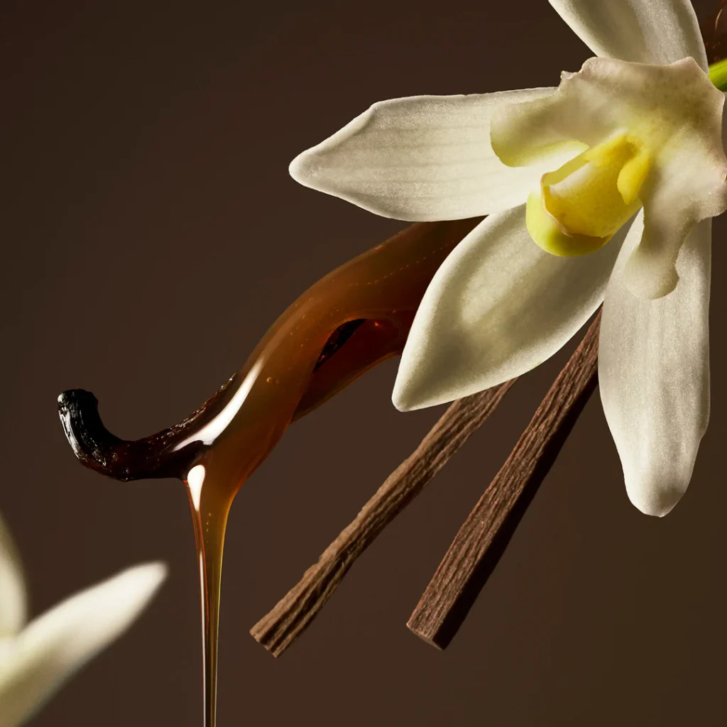 An image of vanilla, caramel notes