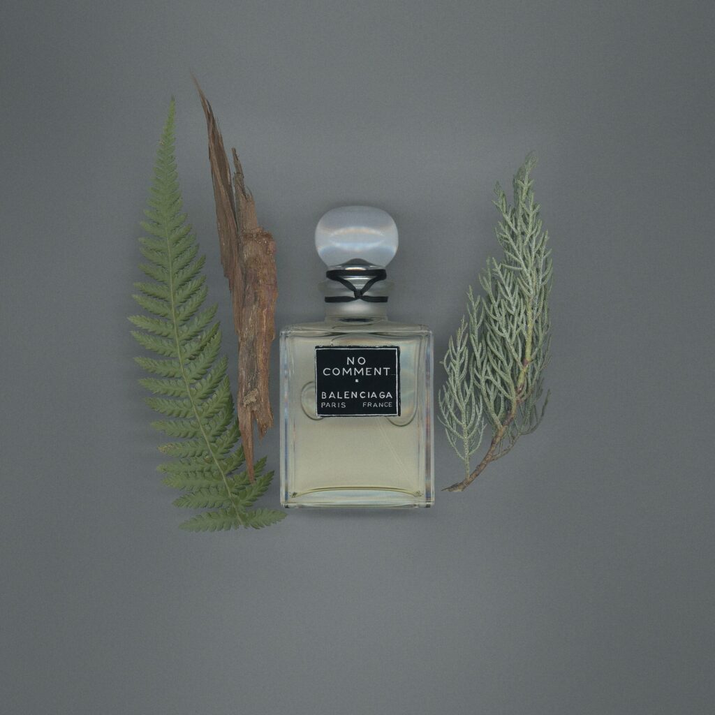 An image of Balenciaga no comment perfume