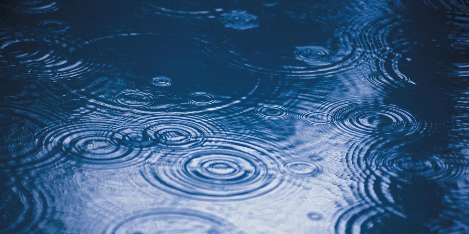 An image of raindrops