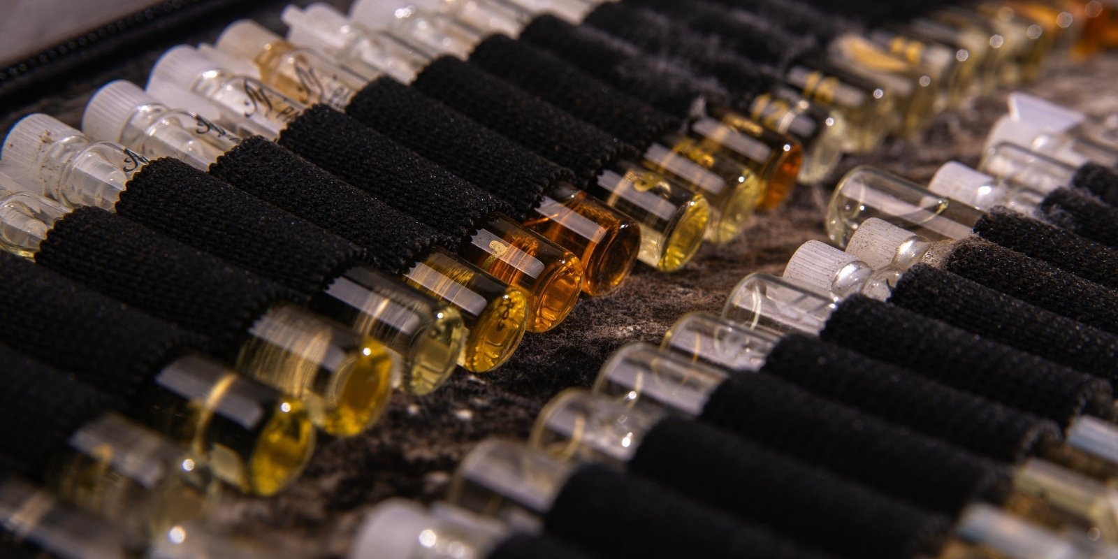 An image of different perfume testers