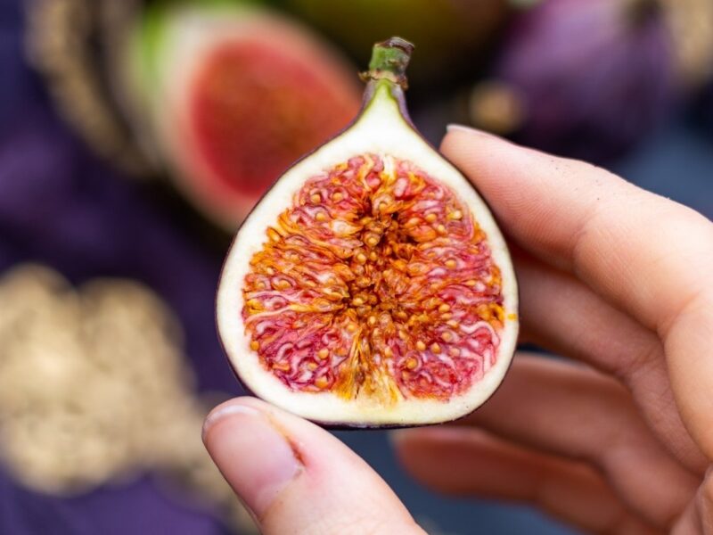 An image of fig in a persons hand