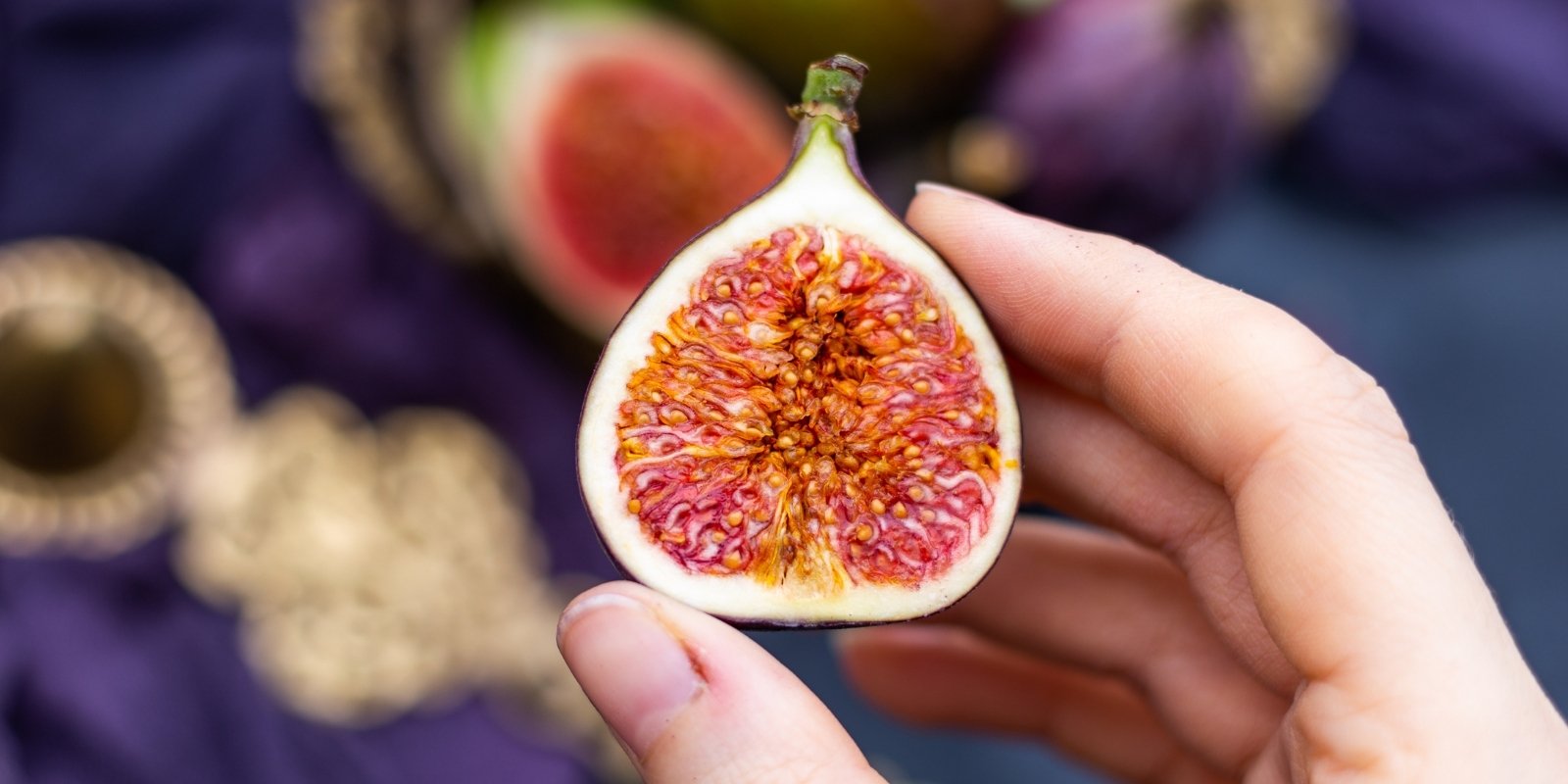 An image of fig in a persons hand
