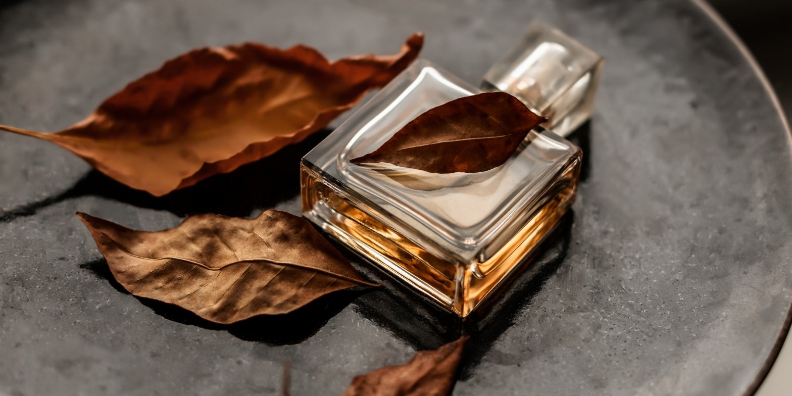 An image of a perfume presented in a cinematic way