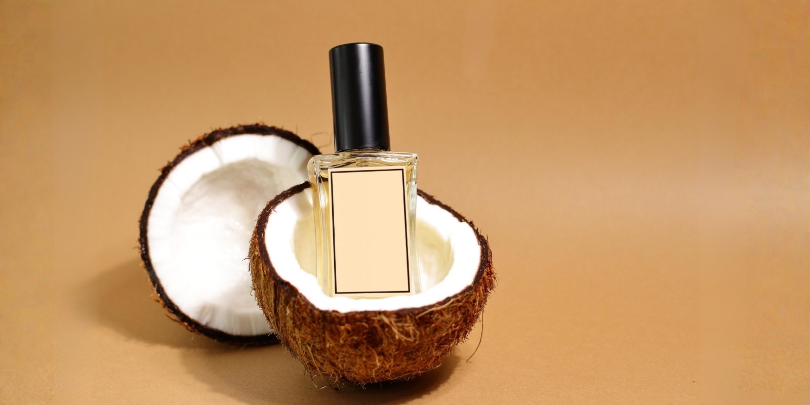 An image of a perfume and coconut