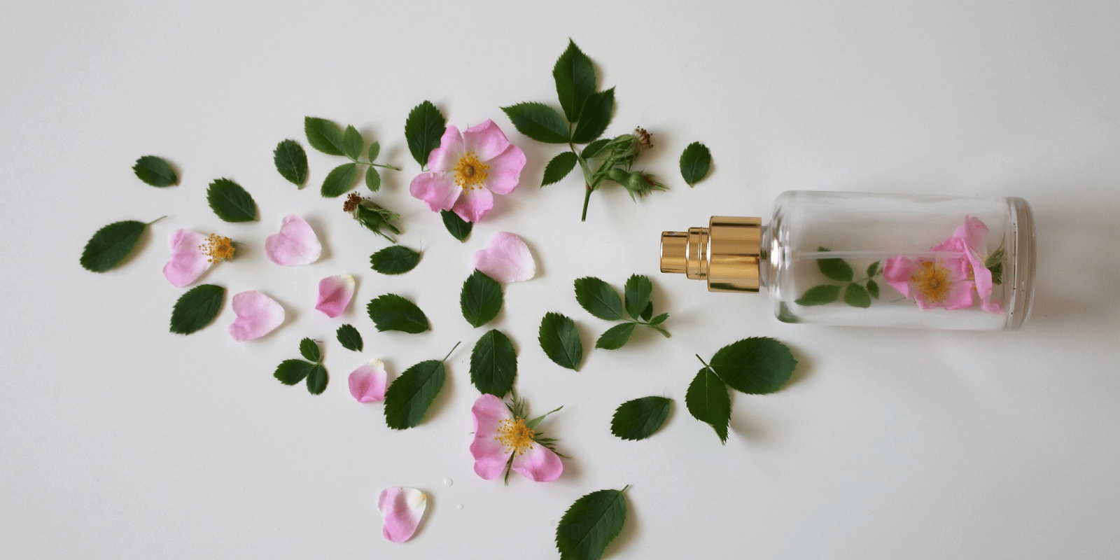best rose perfumes